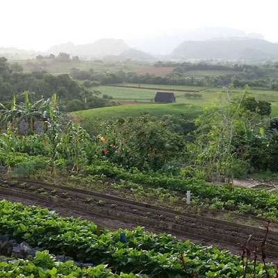 Paladar Agroecológico