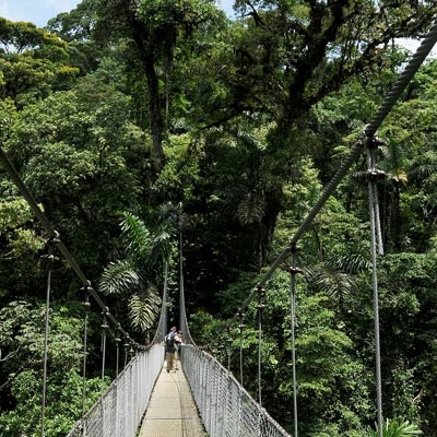 Hanging bridges