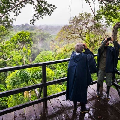 Birding at Sacha Lodge