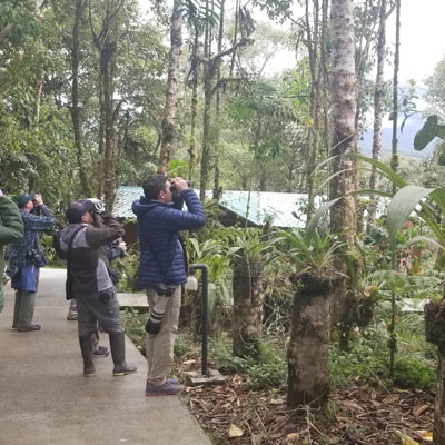 Birding around San Isidro Lodge