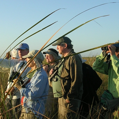 Birding in Cuba