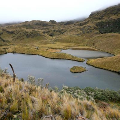 Cajas National Park
