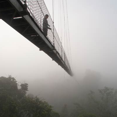 Canopy walkway