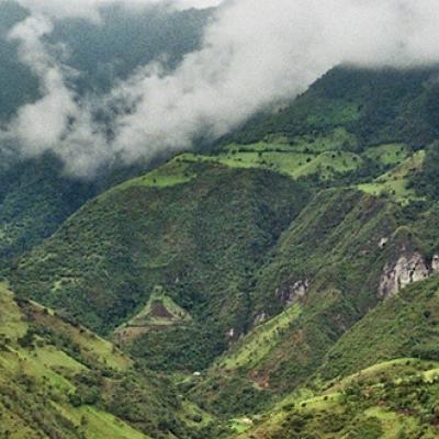 Mindo Cloud Forest
