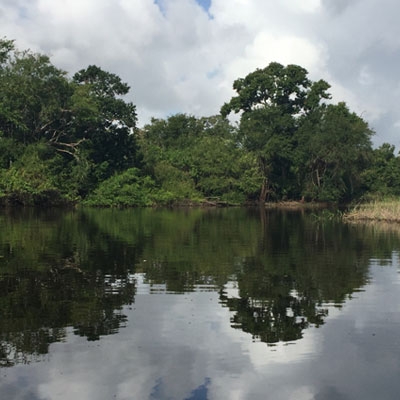 Crooked Tree Wildlife Sanctuary