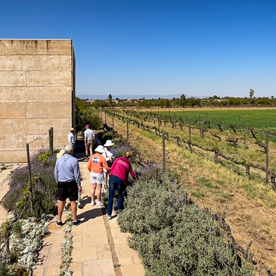 Cuna de Tierra winery