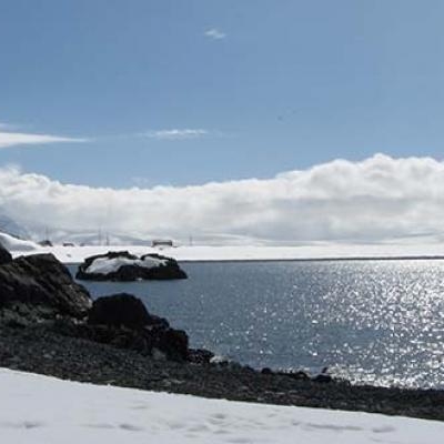 Antarctica approximately has 70% of all fresh water on Earth