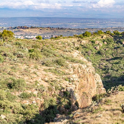 El Charco del Ingenio Botanical Garden and Nature Reserve