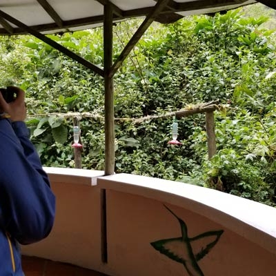 Guango Lodge hummingbird observation area
