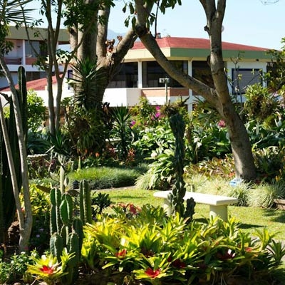 Hotel Bougainvillea