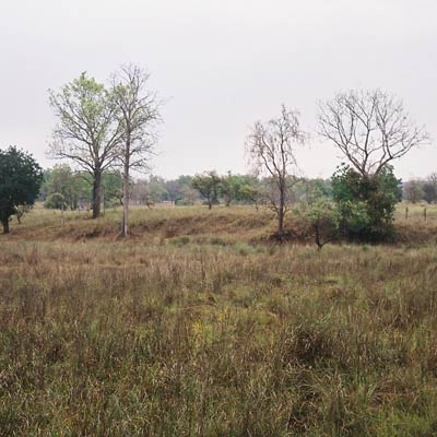 Kanha National Park