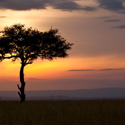 Kenya sunset