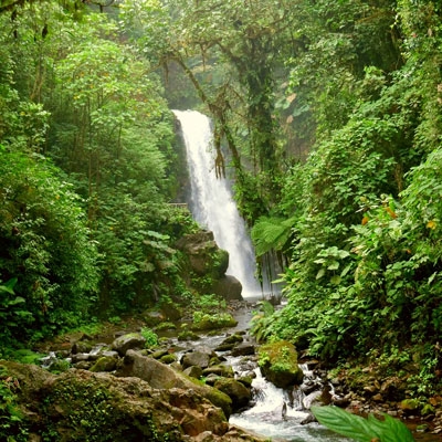 La Paz Waterfall