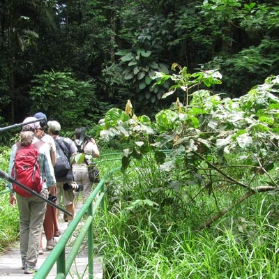 Trails at La Selva