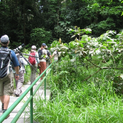 Interpretive hike at La Selva Biological Station