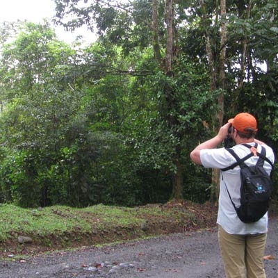 Birding at La Selva Biological Station