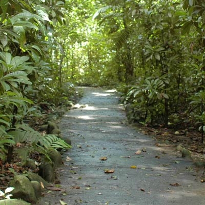 Hiking through Carara National Park
