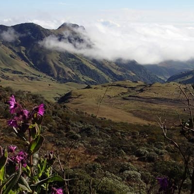 Los Nevados National Park