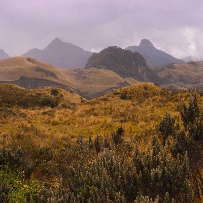 Cayambe-Coca Reserve
