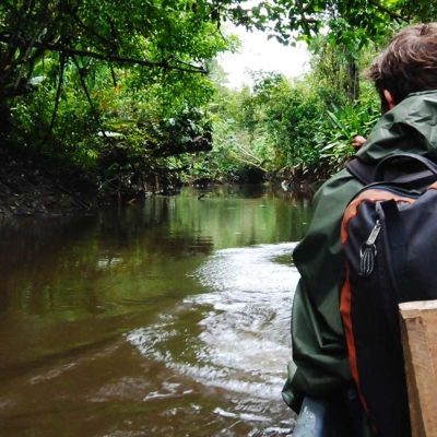 Canoe down the Amazon
