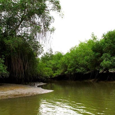 Manglares Churute Ecological Reserve near Guayaquil