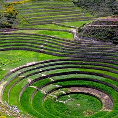 Moray