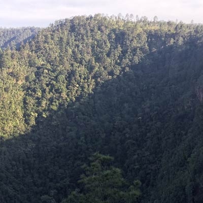 Mountain Pine Ridge Valley