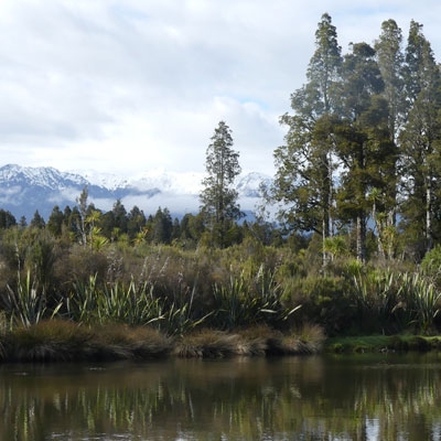 Ōkārito Lagoon