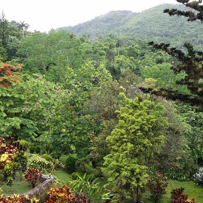 Orchid Garden at Soroa