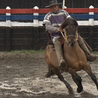 Huasos are the Chilean equivalent of the Argentine 'gaucho' or Mexican 'charro'