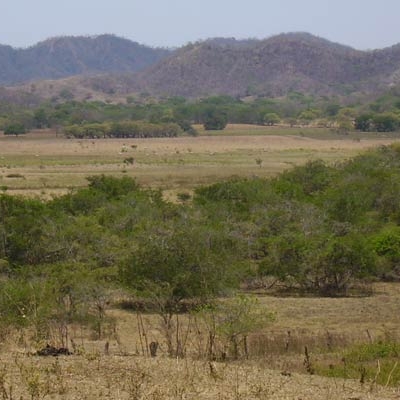 Guanacaste landscape