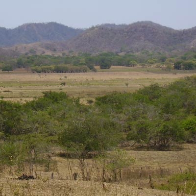 Guanacaste landscape