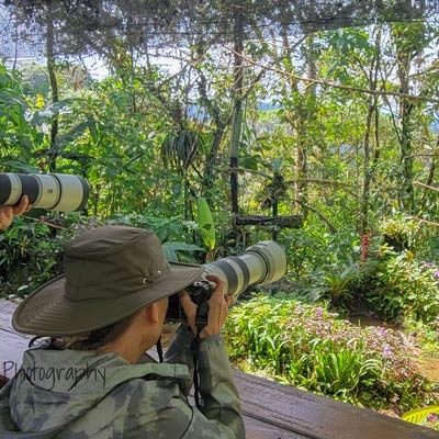Bird photography in Ecuador