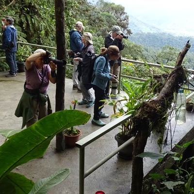 Photography at San Tadeo Birdwatching