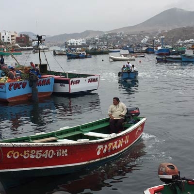 Pucusana Harbor