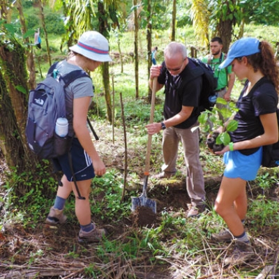 Participate in a reforestation project
