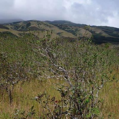 Rincon de la Vieja National Park