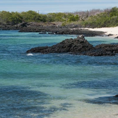 Santa Cruz Island