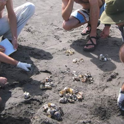 Collecting data