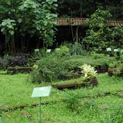 Selva Verde Botanical Gardens