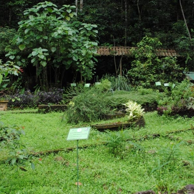 Selva Verde Botanical Gardens