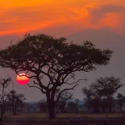 Breathtaking view at Serengeti National Park