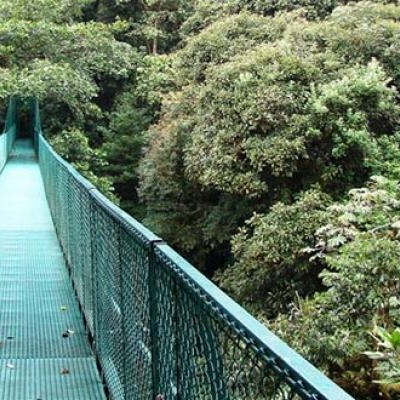 Sky walk at Monteverde Cloud Forest Reserve