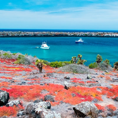 South Plaza Island