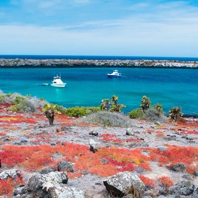 South Plaza Island