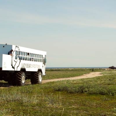 Summer tundra tour