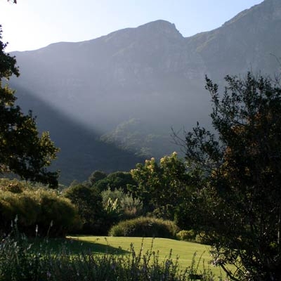 Table Mountain from Kirstenbosch Gardens
