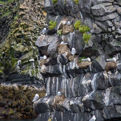 Rock formations in Snæfellsnes Peninsula