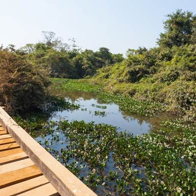 Brazil's Transpantaneira Road