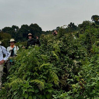 Trekking in Rwanda